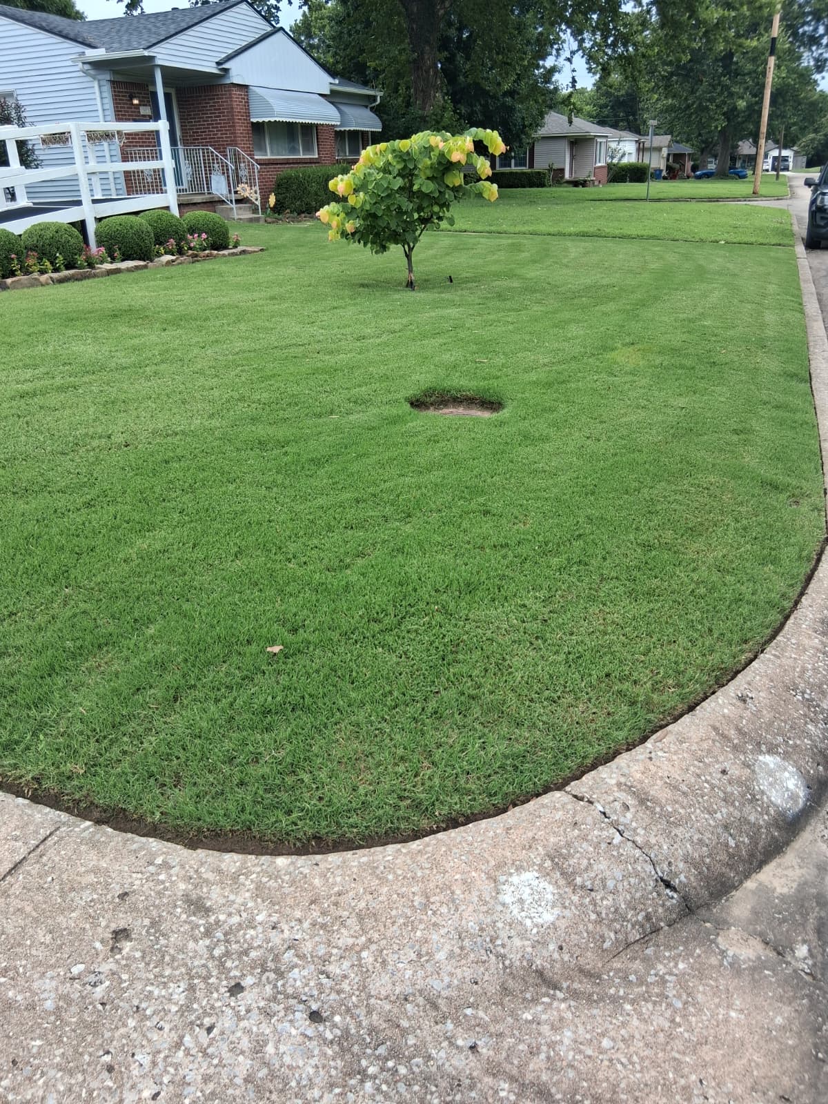 Lawn Maintenance